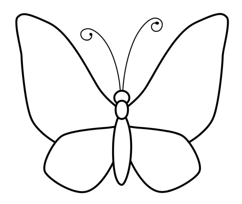 Schmetterlingskontur